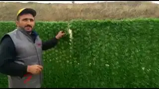 Apa &Ccedil;imli &Ccedil;it Montajı