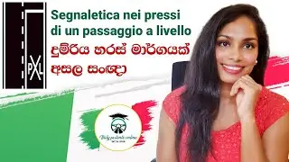 දුම්රිය හරස් මාර්ගයක් අසල ඇති සංඥා දැනගමු 🚧🇮🇹