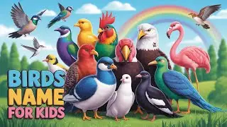 Let&rsquo;s Learn Bird Names! | Easy Bird Words for Kids | See Birds in English with Pictures