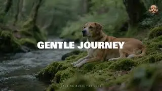 Gentle Journey &ndash; Calming Music for Dogs | Relax, Nap & Unwind