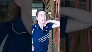 Non-Equestrian Learns the Difference Between Horses and Ponies #shorts