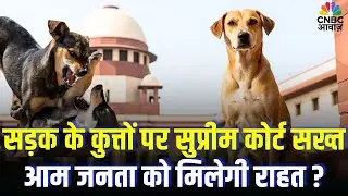 Consumer Adda | सड़क के कुत्तों पर सुप्रीम कोर्ट सख्त आम जनता को मिलेगी राहत ? Vipin Bhatt