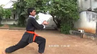 black panther kungfu jangaon