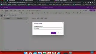 Создание разделов и страниц в OneNote