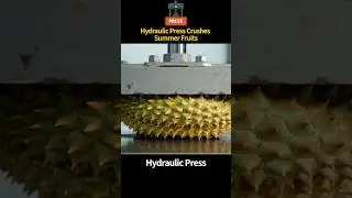 Tropical Trio vs The Hydraulic Press 🌴🥥🐉 &ndash; Durian, Coconut & Dragon Fruit Crush!