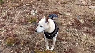 Hike to Diamond Lakes, Indian Peaks Wilderness