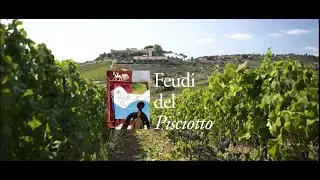 Feudi del Pisciotto, grandi vini della Sicilia sudorientale