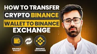 How To Transfer Crypto Binance Wallet to Binance Exchange