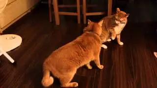 20130318