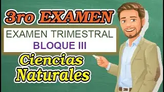 Examen CIENCIAS NATURALES RESUELTO BLOQUE 3 - 3er Grado Primaria 2022 - 2023