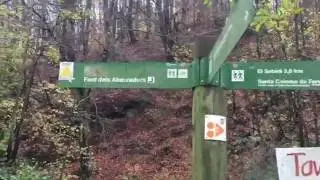 Hiking en Sant Hilari de Sacalm