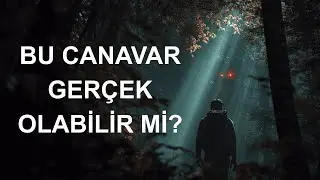 Bu Canavar Gerçek Olabilir mi? Türk Mitolojisinin Gizlenen Yaratığı Yaztırnak!