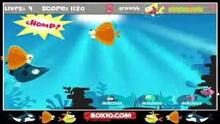 Box10.com: Fish For Food (Flash Game) Gameplay