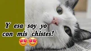 Soy yo y mis chistes!🤩🤩