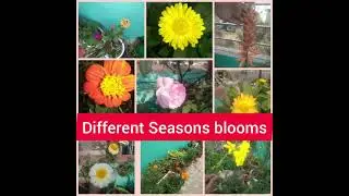 RELIABLE Gardening Products on Amazon USED By ME IN MY GARDEN.Link in Description box to Buy. Part 1