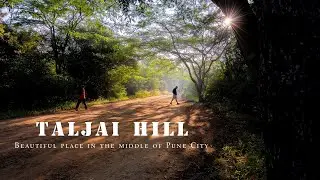 TALJAI TEKDI | BEAUTIFUL PLACE NEAR PUNE | TALJAI MINI FOREST | 4K Cinematic video |