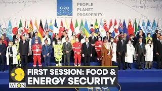 G20 Summit 2022: Revival of global economy & post-covid issues on the cards | World News | WION