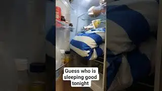 Cold Pillow#coldpillow#funny#meme#relatable#shorts#youtubeshorts#cold#pillow#fridge#freezer#freezing