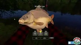 Leather Carp 27,658 kg