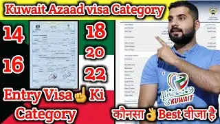 What are tha Visa Types in Kuwait Category |कुवैत में कितने प्रकार के वीजा होते हैं @aashuofficial45k