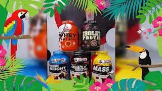 Whey Protein , Mass Gainer ,Isolate Protein  , Bcaa , pre-work out  ,Gultamine,  / NUTRIMAX POWER