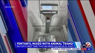 DEA finds purple fentanyl with animal tranquilizer in El Paso