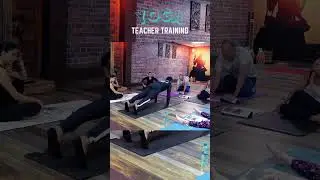 Mastering Chaturanga: Yoga Teacher Training Breakdown | Akram Yoga & Teacher Training