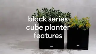 Block Cube Planter