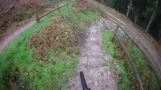 Haldon forest red/black trail