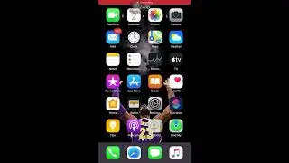 How to turn off/disable Emergency alert on IOS
