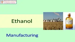 Ethanol Manufacturing Business