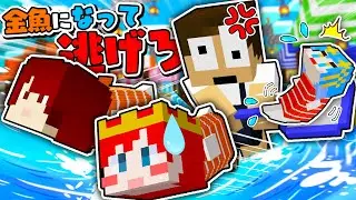 金魚になってぷちぷちに捕まる前に逃げろ！『縁日鬼ごっこ』【 マイクラ / Minecraft 】