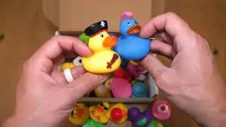 Honest Review of Assorted Rubber Ducks