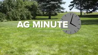 Ag Minute #993 When can farmers fertilize? (Air Date 3-1-20)