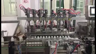 Tam Otomatik Beslemeli Sıvı Dolum Hattı