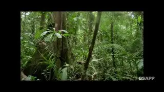 Climate Change and the Scales of Environment: Uncertainty (3 of 5)