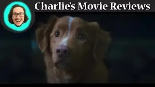 Good Boy - Charlie's Movie Reviews