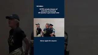 NYPD arrests dozens of activists protesting US senator&rsquo;s pro-Israel vote