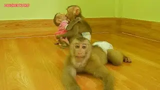 Adorable Kako Love Camera While Baby Luna Hug And Kissing Tiny Nina