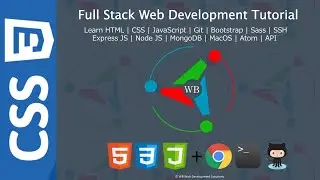9. Как использовать встроенный, внутренний и внешний CSS — полный курс по веб-разработке