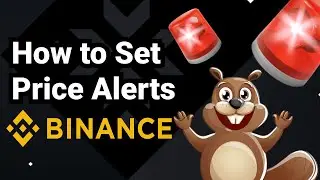 How To Set Price Alerts on Binance