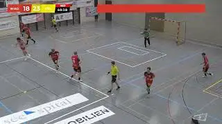 Highlights NLB:  SG W&auml;denswil/Horgen   SG Yellow/Pfadi Espoirs
