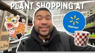 Walmart plant shopping + surprise Lunar New Year celebration