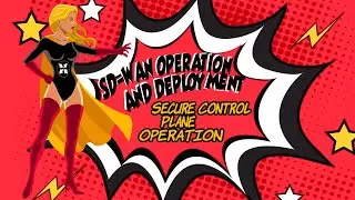 Module 2 - Secure Extensible Network Deployment / Lesson 1 - Secure Control Plane Operation
