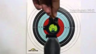 Mira Red Dot &eacute; igual a Mira Laser ou Luneta? - Iniciantes