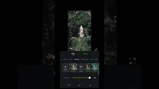 Dark Tone colour grading tutorial using VN Editor 😱 #vneditor #shorts
