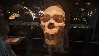 Lift at Museum of Human Evolution in Burgos in Spain