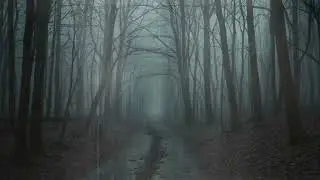 Peaceful Rain with Light Thunder Sounds to Ease Stress and Fall Asleep Fast
