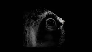 maebi - the lobotomy (slowed + edited)