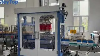 Automatic Carton Packing Machine in Action | Smart Case Packing Solution
